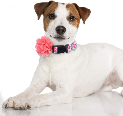 2 Pack Floral Dog Collar with Removable Flower, Adjustable Nylon Pet Collars for Large Dogs