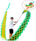 PAIKOOL 3D Set Dragon Poi with Plastic Dragon Head, Swing Rope and Hot Stamping Golden Ribbon Streamer, Outdoor Fitness