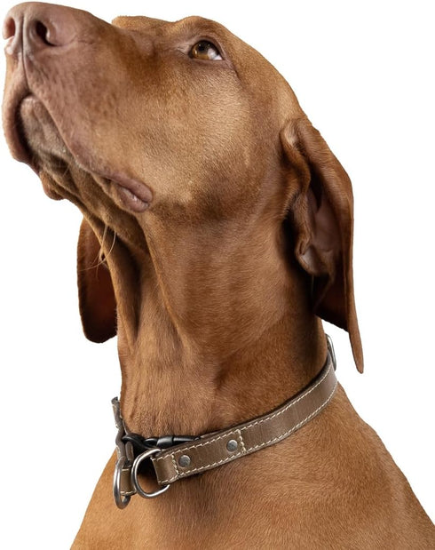 Leather Quick Release Dog Collar - Handcrafted Full Grain Leather with Stainless Steel Hardware - Stone, Medium