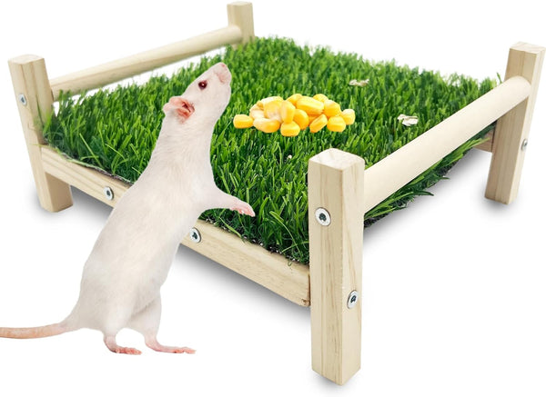 FlidRunest Wooden Rat Foraging Toys, Artificial Grass Foraging Mat for Rats, Safe