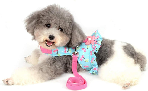 SELMAI Cat Harness and Leash, Escape Proof Cherry Vest for Small Dogs and Kittens, Soft Padded for Walking