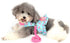 SELMAI Cat Harness and Leash, Escape Proof Cherry Vest for Small Dogs and Kittens, Soft Padded for Walking
