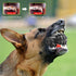 Dog Chew Toys for Aggressive Chewers, Non-Toxic Dental Pet Toy, Durable Indestructible for Small Medium Large Dogs