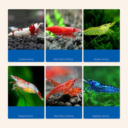 HEYXI 30g/60g/ Aquarium Small Fish Brine Shrimp Eggs Artemia Forages Guppy Eggfood