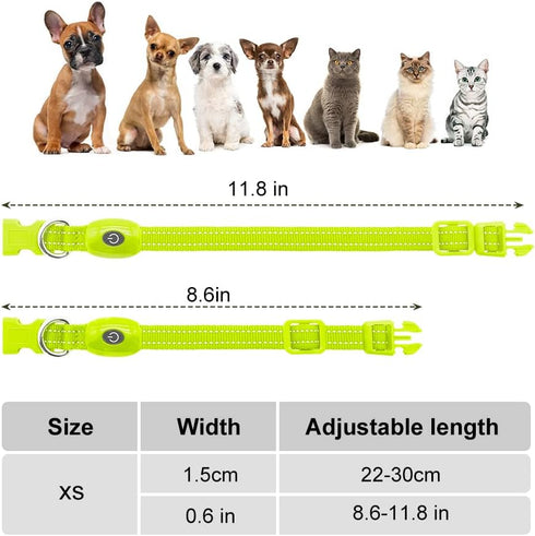 Reflective LED Dog Collar, Rechargeable Light Up Puppy Collar for Night Safety, Ideal as Lighted Cat Collar, X-Small,