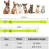 Reflective LED Dog Collar, Rechargeable Light Up Puppy Collar for Night Safety, Ideal as Lighted Cat Collar, X-Small,