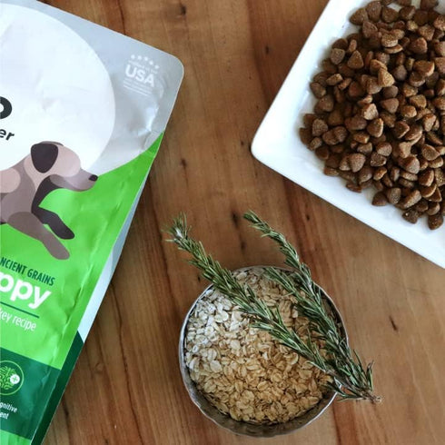 Nulo Frontrunner All Breed Puppy Food, Premium Dry Small Kibble, Ancient Grains with BC30 Probiotic & DHA