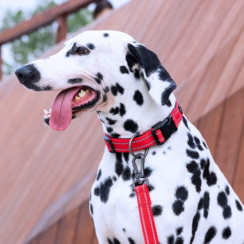 EXCELLENT ELITE SPANKER Reflective Dog Collar - Classic Soft Padded Breathable Nylon Adjustable for Small Medium Large