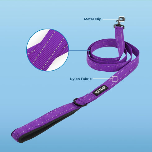 Voyager Reflective Dog Leash with Neoprene Handle, 5ft Long, Supports Small, Medium, and Large Breed Puppies, Cute and Heavy Duty for Walking, Running, and Training - Purple (Leash), S