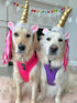 Midlee Dog Unicorn Horn Headband for Halloween Costume
