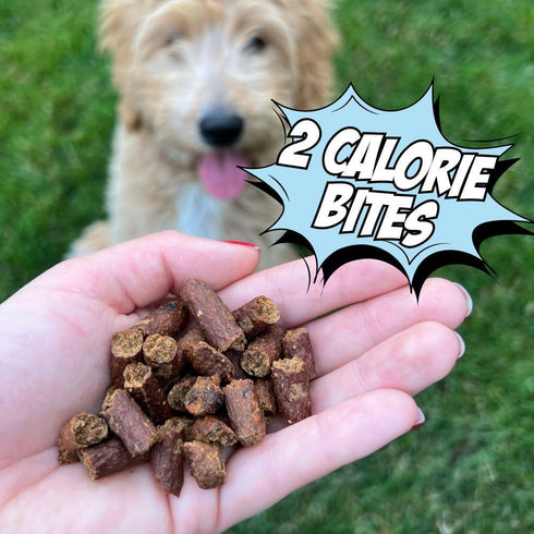 4 Pack Chippin Soft Dog Training Treats, Mini Bite Size Fish & Sweet Potato Dog Treats, Healthy Low Calorie Training