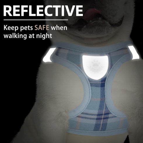 PUPTECK Adjustable Dog Harness Collar and Leash Set, Step in No Pull Pet Harness for Small Medium Dogs, Blue