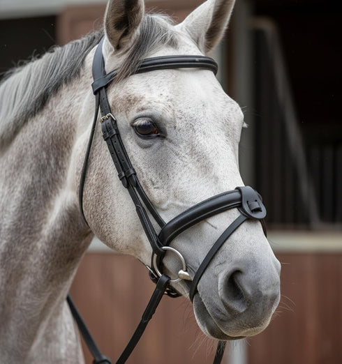Hunters Saddlery Flash Noseband Strap Attachment with Converter for English Leather Horse Bridle