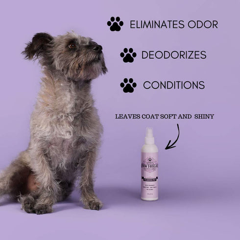 Dog Grooming Spray - 8 fl. oz Odor Eliminator and Between-Bath Deodorizer Conditioner Spray