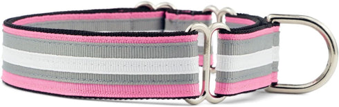 If It Barks 1" Martingale Collar for Dogs, Adjustable Nylon, USA Made, Medium, Spunky