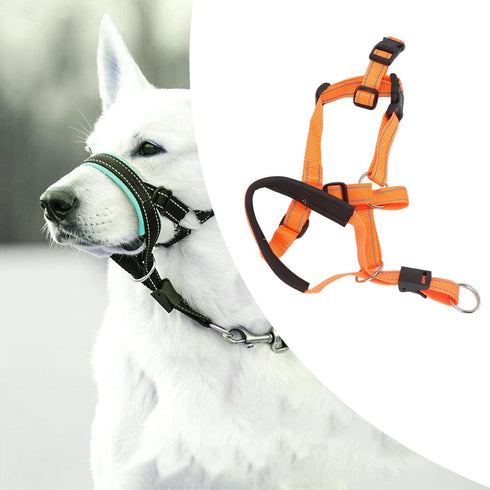 Dog Head Collar Halter with Safety Strap, Stops Pets from Pulling for Outdoor Walks (L)