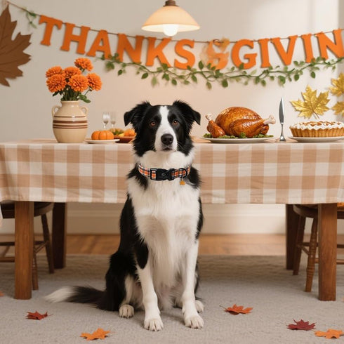 Lionet Paws Halloween Dog Collar- Cute Blank Orange Grid Fall Dog Collars with Plastic Buckle and Leaf Pendant, Light