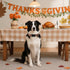 Lionet Paws Halloween Dog Collar- Cute Blank Orange Grid Fall Dog Collars with Plastic Buckle and Leaf Pendant, Light