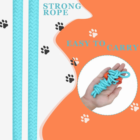 Slip Leads for Dogs, 5 FT Lightweight Rope Leash for Medium Dogs, No Pull Training Leash, Quick Put On and Take Off