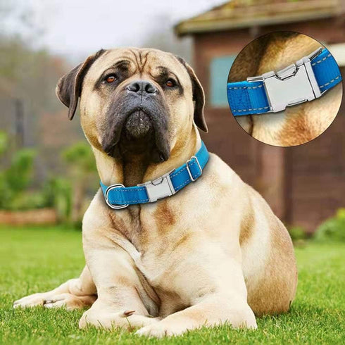 Reflective Dog Collar - Adjustable Safety Nylon with Metal Buckle, Heavy Duty Quick Release for Small Medium Large