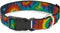 Buckle-Down Plastic Clip Collar - Tie Dye Swirl Multi Color - 1/2" Wide, Fits 8-12" Neck, Medium