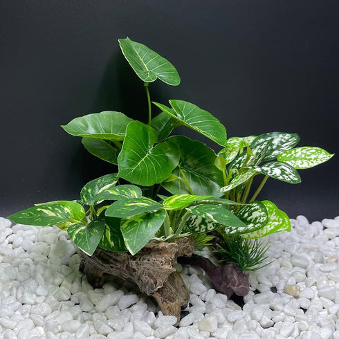 Smoothedo-Pets Aquarium Decor, 3pcs Betta Silk Leaf Pad Hammock and Artificial Driftwood Cave