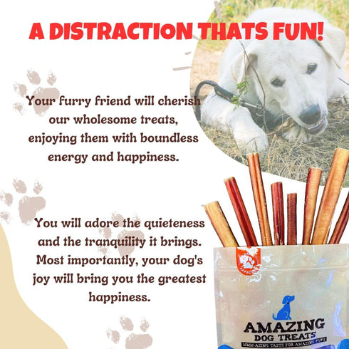 Amazing Dog Treats - 6 Inch Bully Sticks Medium Size (20 Pcs/Pack) - Long Lasting Chews for Small to Medium Dogs