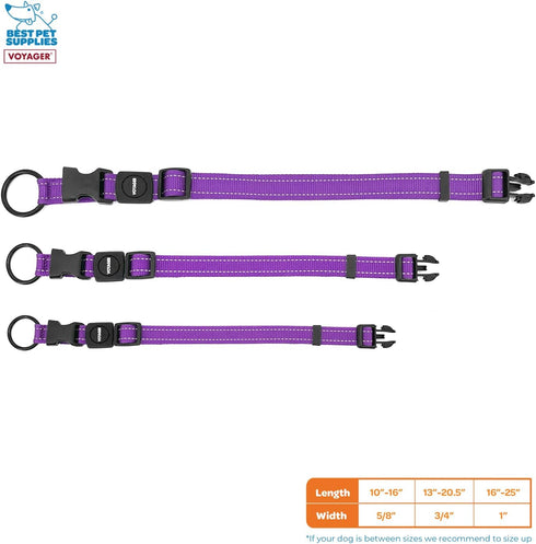 Best Pet Supplies Reflective Dog Collar - Adjustable Length, Heavy-Duty Buckle, D-Ring for Training, Walking, Jogging -