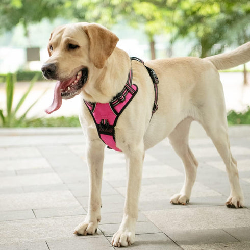 PoyPet No Pull Dog Harness, Reflective Adjustable No Choke Vest with Front & Back Leash Attachments for Small Medium