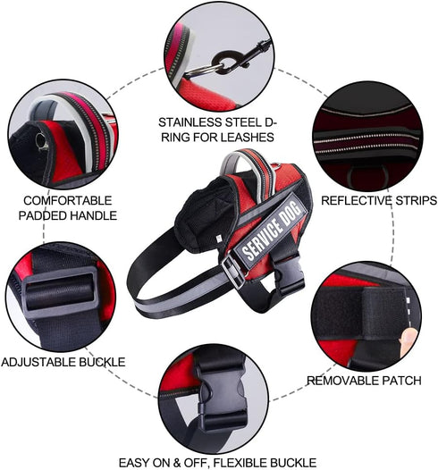 Service Dog Vest Harness and Leash Set, Animire in Training Dog Harness with 10 Patches, Reflective Leash with Soft