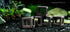 (Pack 5)) Aquarium Fish Shrimp Tube Cubes Star Clay Shelters Hiding and BREEDING CAVE (Small Shrimp Cubes