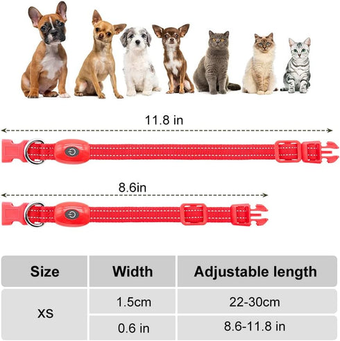Light Up Dog Collars - Reflective LED Dog Collar, Rechargeable Cat Collar, Glowing Lights for Small Dogs & Cats