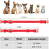 Light Up Dog Collars - Reflective LED Dog Collar, Rechargeable Cat Collar, Glowing Lights for Small Dogs & Cats