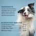 Lil' Bitz Flame Roasted Chicken Training Treats - Low Calories, Grain Free, 3 Pack for All Dog Breeds