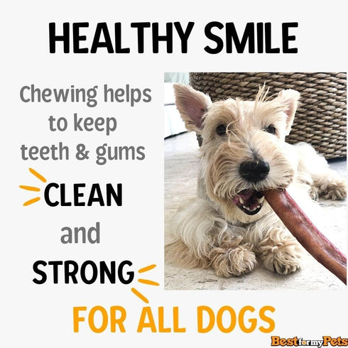 6Inch 8 oz Best For My Pets OdorFree Beef Bully Sticks, Bag - SingleIngredient, LongLasting Natural Dental Dog Chews