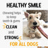6Inch 8 oz Best For My Pets OdorFree Beef Bully Sticks, Bag - SingleIngredient, LongLasting Natural Dental Dog Chews