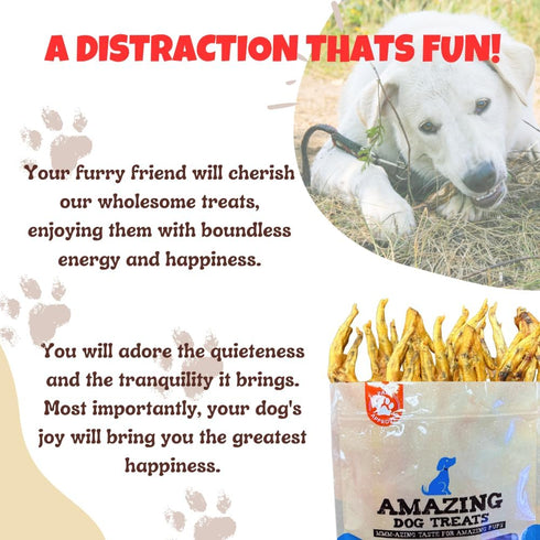 Amazing Dog Treats - Chicken Feet (12 Count) - All Natural American Grade Chew Bones for Dogs