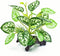 Reptile Artificial Plants - Terrarium Decorations Supplies, Amphibian Habitat Hideout Tank Accessories, Rainforest