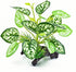 Reptile Artificial Plants - Terrarium Decorations Supplies, Amphibian Habitat Hideout Tank Accessories, Rainforest