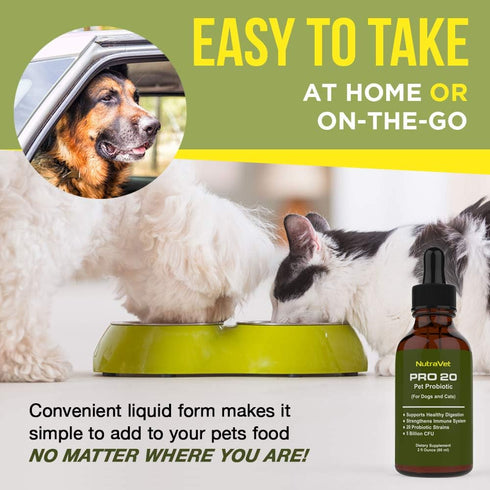 Probiotics for Dogs and Cats - 120 Servings, 100% Natural Digestive Enzymes for Healthy Digestion