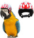 Chicken Helmet Bird Hat Safety Headgear for Small Animals, 5 Pcs Halloween Costumes
