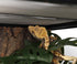 WOLEDOE Reptile Plants for Terrarium, Amphibian Habitat Decor Artificial Hanging Plants with Suction Cup - Fake Swiss