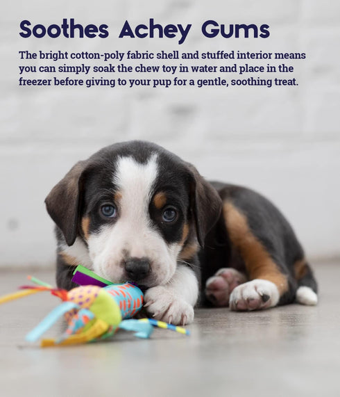 06 Cool Teething Stick Puppy Chew Toy for Month Puppies, Teething Relief, Freezable & Durable