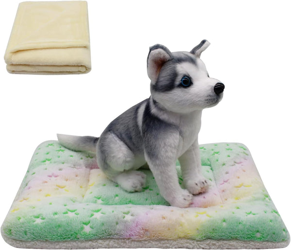 Cat Dog Bed Mat & Blanket, Reversible Pets Crate Pad Bed Mat, Ultra Soft Warm Fleece for Small Puppy Kitty, Washable