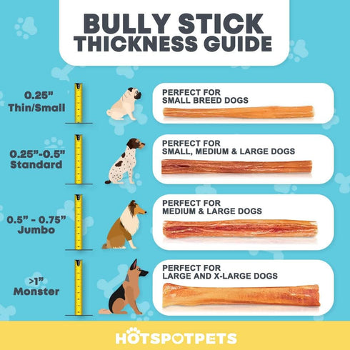 hotspot pets 6 Inch Premium Bully Sticks (20 Pack) - All Natural Long Lasting Beef Pizzle Treats for Medium Dogs