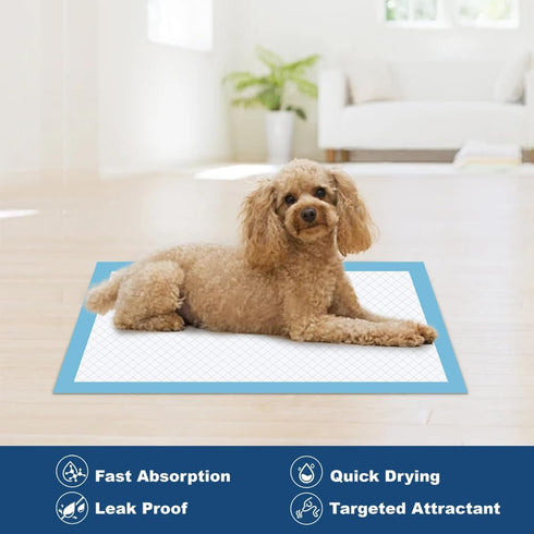 100 Count 22 22 x Disposable Dog Pee Pads, Super Absorbent Leakproof Puppy Pads Quick Drying, Pee Pads for Dogs, Potty
