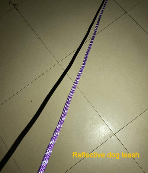 Long Rope Dog Leash for Training 12FT 20FT 30FT 50FT, Reflective Threads Tie-Out Check Cord for All Dogs (Purple,