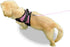 No Pull Reflective Adjustable Dog Harness With Handle - Comfortable Soft All Weather Mesh, Easy On Puppy Harness (Pink)