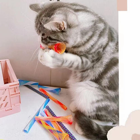 (12 Packs) ISMARTEN Cat Spring Toys, Tube Spring Toy Interactive Cat Toy for Indoor Cats, Plastic Spring Coils Attract