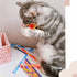 (12 Packs) ISMARTEN Cat Spring Toys, Tube Spring Toy Interactive Cat Toy for Indoor Cats, Plastic Spring Coils Attract